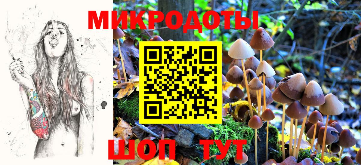 Галлюциногенные грибы прущие грибы Саранск